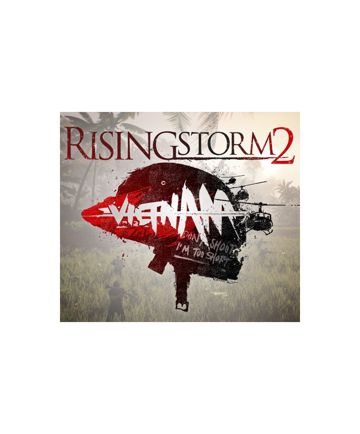 Rising Storm 2: Vietnam Steam Key GLOBAL